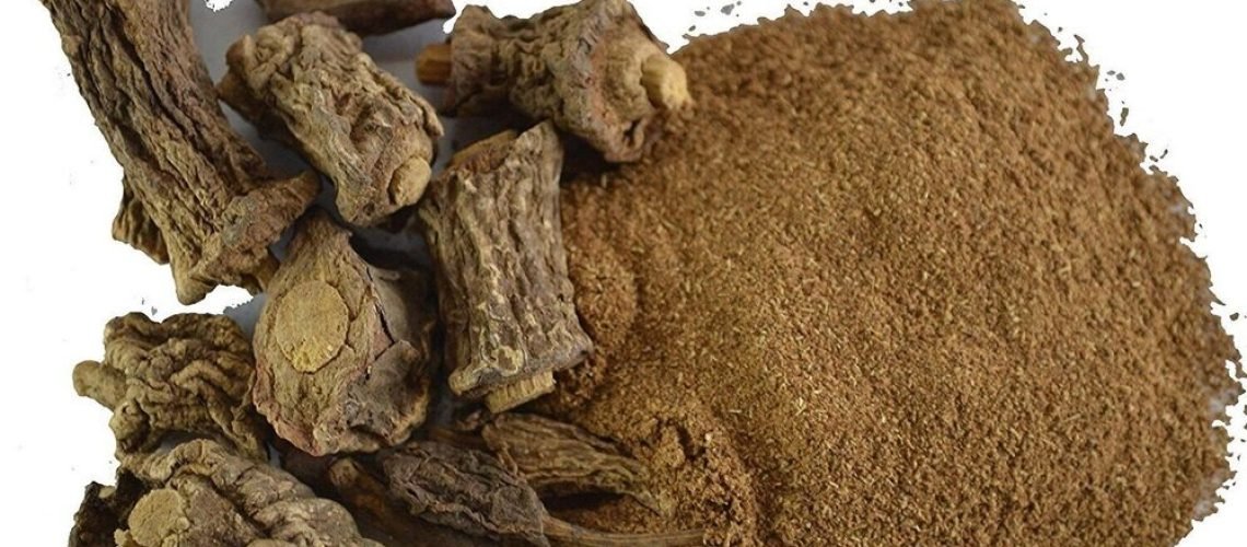 Les bienfaits du costus indien